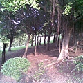 20090816(025).jpg