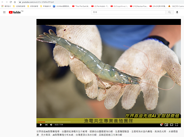 台灣海水白蝦推薦，好蝦怎樣選？蝦子會泡藥嗎？活凍無毒海蝦哪裡