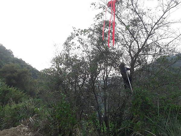 20170325_172742.jpg 20170325_172742.jpg