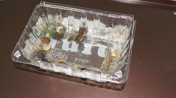 DSC00001.JPG DSC00001.JPG