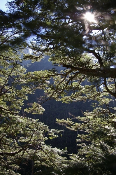 天氣還是一樣