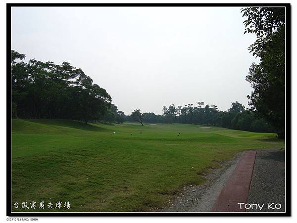 台鳳高爾夫球場-翠林區 第6洞  PAR4  351碼.JPG