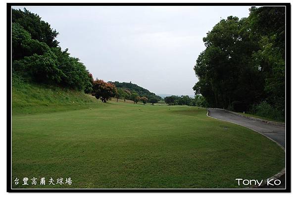 台豐高爾夫球場  IN  第11洞  PAR4  373碼  難度10.JPG