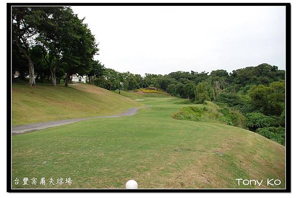 台豐高爾夫球場  IN  第15洞  PAR3  202碼  難度6.JPG