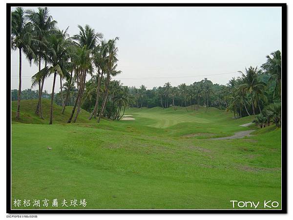 嘉義棕梠湖高爾夫球場 第5洞 PAR 4 341碼 難度1.jpg