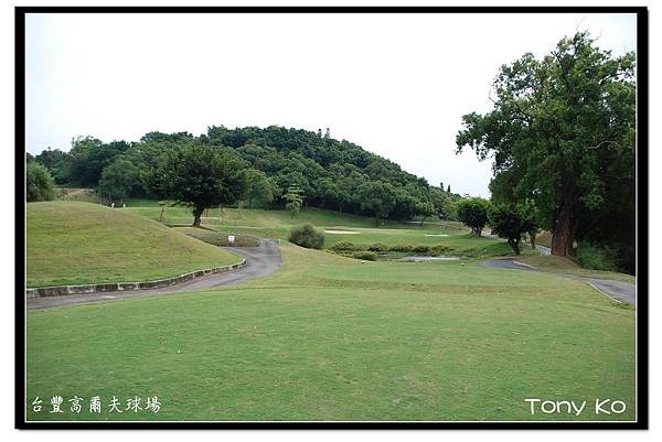 台豐高爾夫球場  IN  第12洞  PAR3  176碼  難度16.JPG