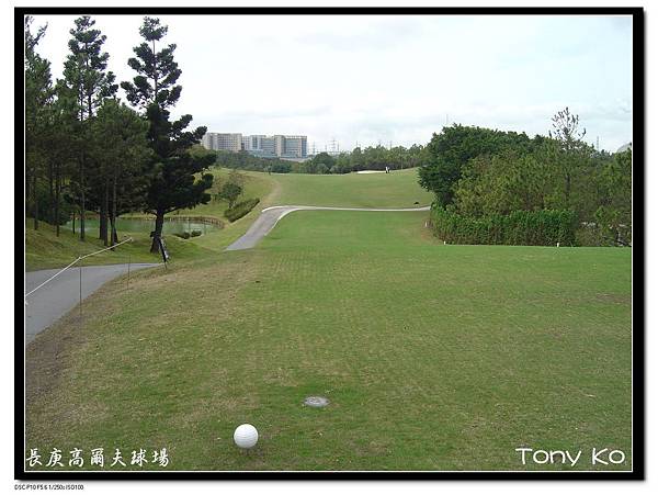 長庚高爾夫俱樂部 中區 第6洞 PAR4  445碼  難度3.JPG