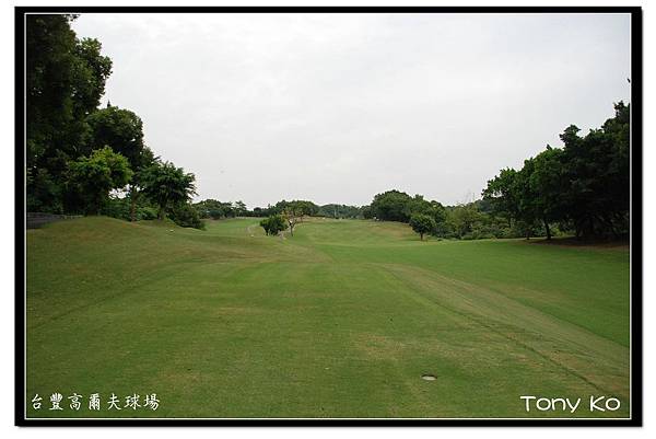 台豐高爾夫球場  IN  第14洞  PAR4  372碼  難度2.JPG