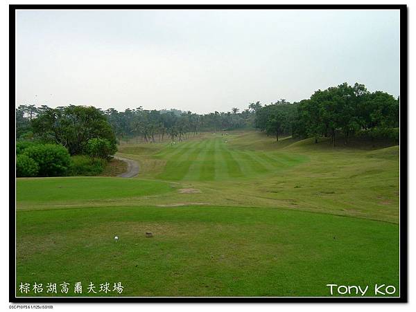 嘉義棕梠湖高爾夫球場 第2洞 PAR 4 390碼 難度3.jpg