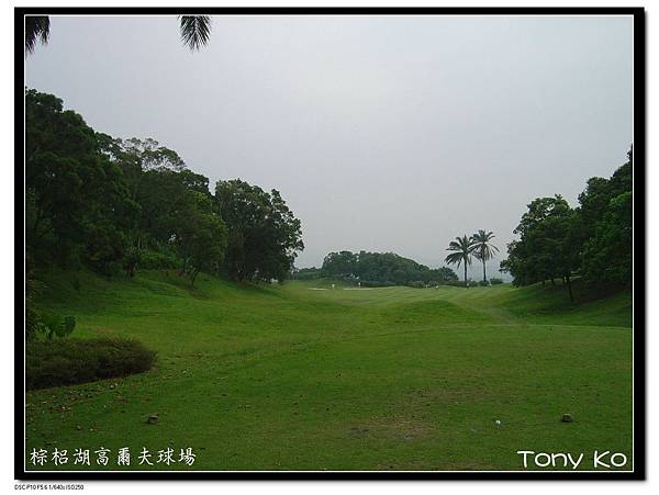 嘉義棕梠湖高爾夫球場 第11洞 PAR 4 390碼 難度16.jpg