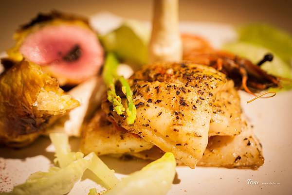 IMG_9431.jpg IMG_9431.jpg