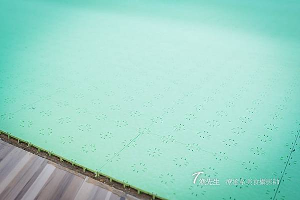 DSC06717.jpg DSC06717.jpg