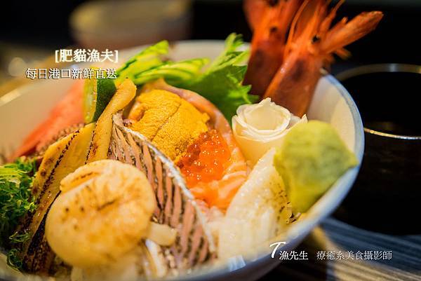 肥貓漁夫00.jpg 肥貓漁夫00.jpg