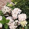 IMG_3953.JPG