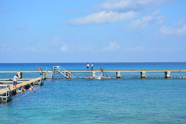 Day3_Cozumel_DSC_1025.JPG