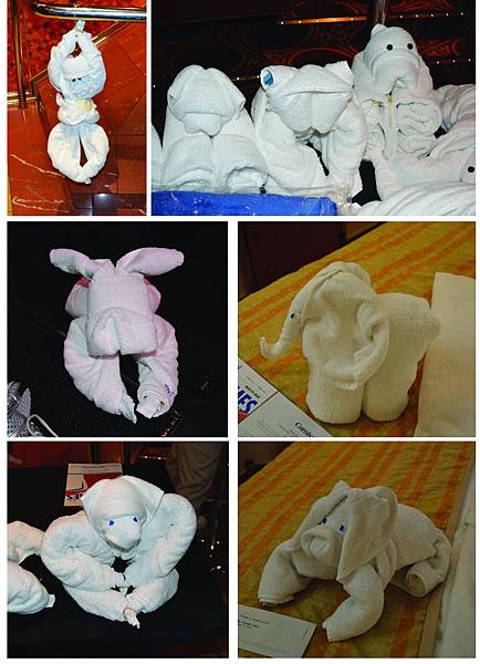 Day7_Towel animals.jpg