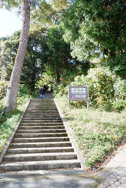 京都近郊*天橋立、伊根*懶人攻略