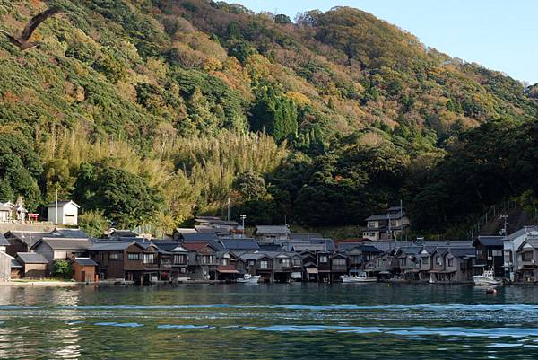 京都近郊*天橋立、伊根*懶人攻略