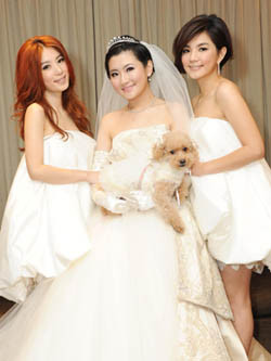 Selina_article_image Selina_article_image