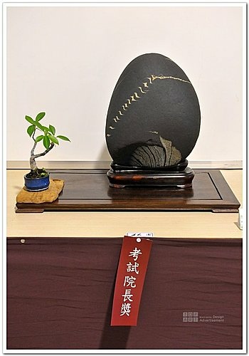 2009 亞太展 雅石得獎作品(30).jpg