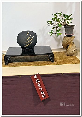 2009 亞太展 雅石得獎作品(31).jpg