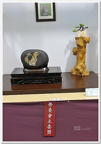 2009 亞太展 雅石得獎作品(25).jpg