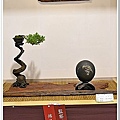 2009 亞太展 雅石得獎作品(28).jpg