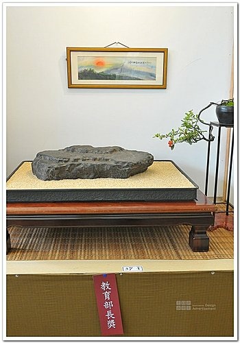 2009 亞太展 雅石得獎作品(11).jpg