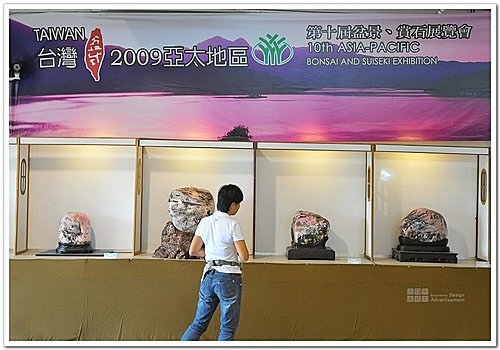 亞太第十屆盆栽賞石展-賞石花絮(2).jpg