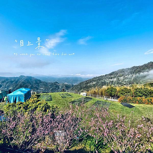 目上景露營區 苗栗泰安 No 31 少帳包區舒適又愜意 意外的採草莓行程 雪莉小姐生活記事本 痞客邦