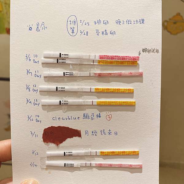 懷孕這樣做一定成功 如何抓排卵期 1 4週懷孕初期 漫長的開獎時間 其實真的沒甚麼症狀 J女孩 痞客邦