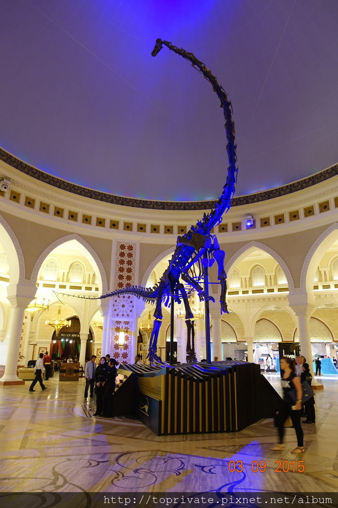DSC05545.JPG DSC05545.JPG