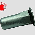 SEAL RIVET NUT -4-topscrew.jpg