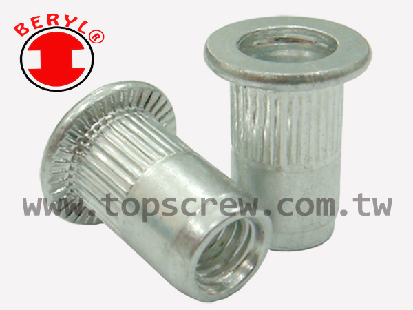 BLIND RIVET NUT-TSBS-ALUMINUM-topscrew.jpg