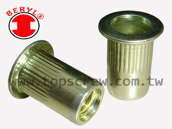 BLIND RIVET NUT-TSBS-STEEL-topscrew.jpg