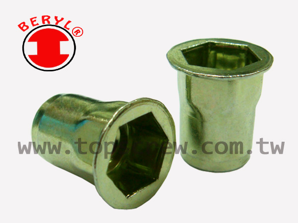 BLIND RIVET NUT-AHBM_AHBI SERIES-topscrew.jpg