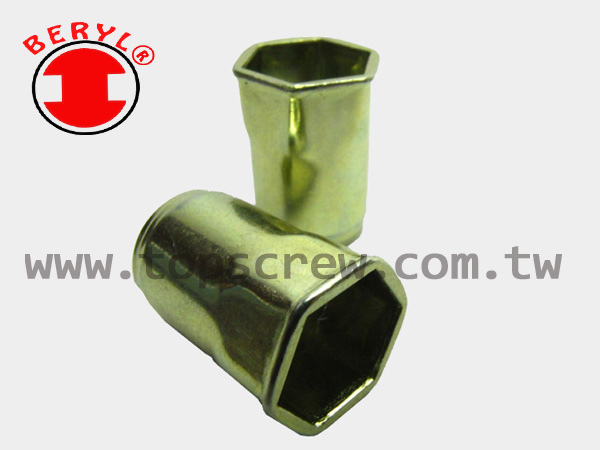 BLIND RIVET NUT-HSM_HSI SERIES-topscrew.jpg