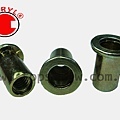 SPECIAL BLIND RIVET NUT SERIES-3-topscrew.jpg