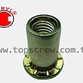 SPECIAL BLIND RIVET NUT SERIES-2-topscrew.jpg