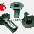 SPECIAL BLIND RIVET NUT SERIES-5-topscrew.jpg