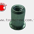 SPECIAL BLIND RIVET NUT SERIES-4-topscrew.jpg