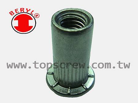 SPECIAL BLIND RIVET NUT SERIES-8-topscrew.jpg