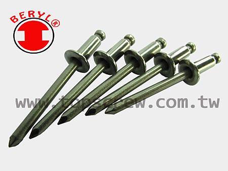 BLIND RIVET SERIES - S-S BLIND RIVET-topscrew.jpg