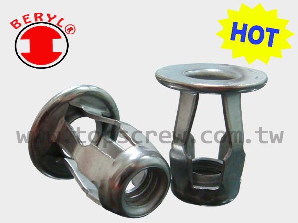 BLIND JACK NUT SERIES-SS-topscrew-HOT.jpg BLIND JACK NUT SERIES-SS-topscrew-HOT.jpg