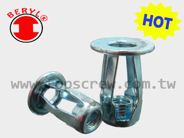 BLIND JACK NUT SERIES-STEEL-topscrew-HOT.jpg BLIND JACK NUT SERIES-STEEL-topscrew-HOT.jpg