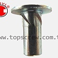 E SELF DRIVING NUT-11-topscrew.jpg