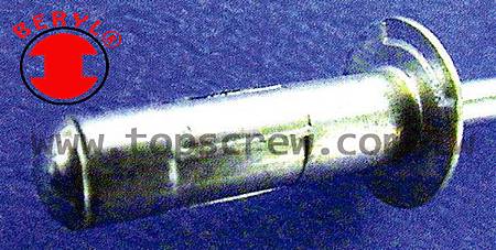 MULTI-GRIP BLIND RIVET-1-topscrew.jpg MULTI-GRIP BLIND RIVET-1-topscrew.jpg