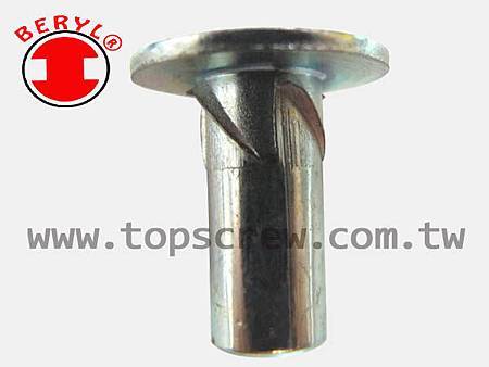 E SELF DRIVING NUT-11-topscrew.jpg