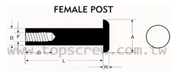 BINDING POST-FEMALE-topscrew.jpg