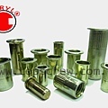 BLIND RIVET NUT SERIES-1-topscrew.jpg